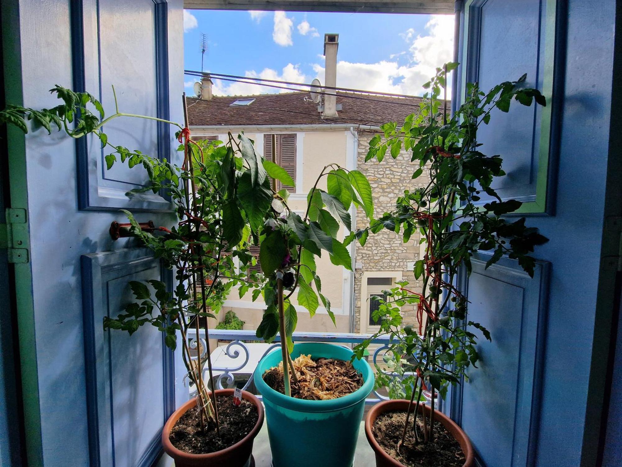 Apartamento Chez Mamichou Moret-sur-Loing Exterior foto